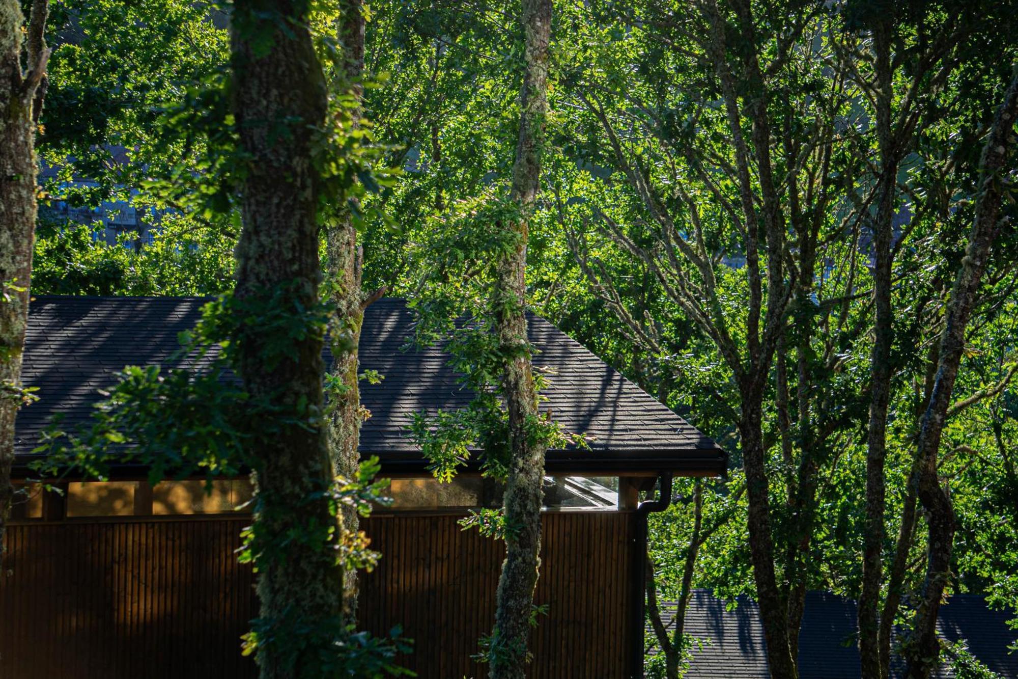 Campsite Casal Oseira Ourense